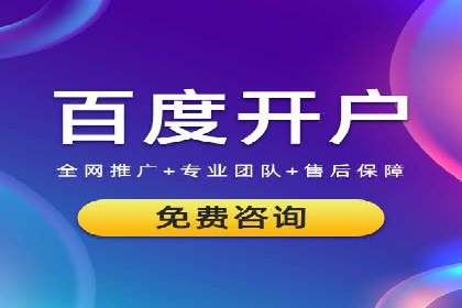 竞价SEM案例分享：快速提高网站流量技巧
